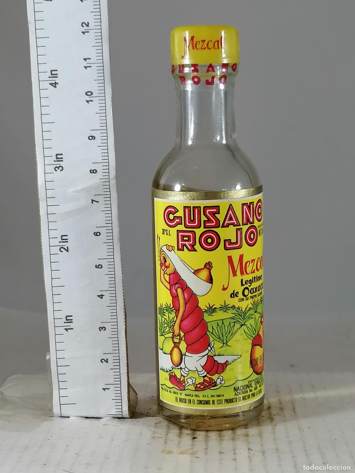 Sammlung von Weinen und Lik&ouml;ren: BOTELLITA BOTELLIN MEZCAL GUSANO ROJO OAXACA CON GUSANO DENTRO
