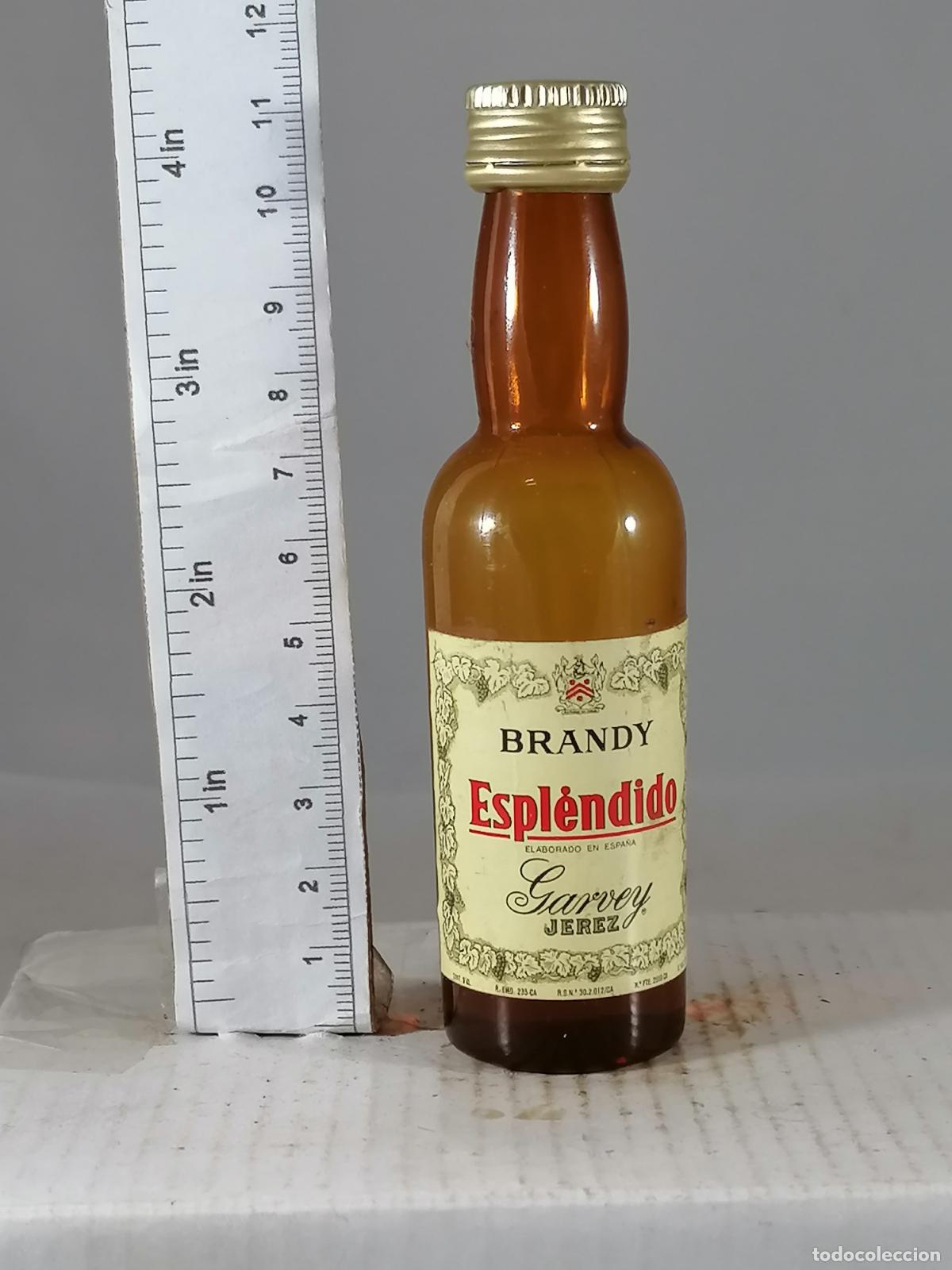 Colecionismo de vinhos e licores: BOTELLITA BOTELLIN BRANDY ESPLENDIDO GARVEY FUTBOL CLUB BARCELONA CAMPEON 84 85