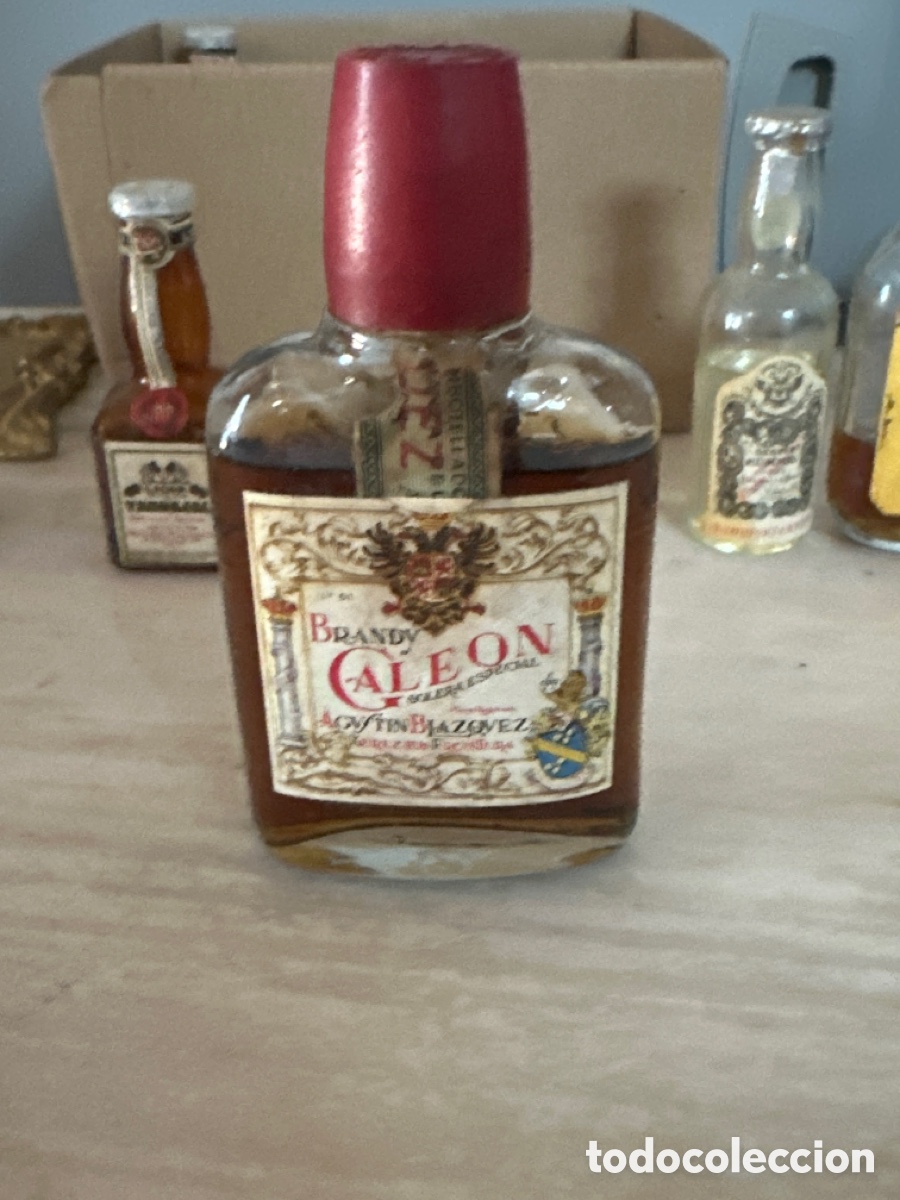 Coleccionismo de vinos y licores: Brandy caleon botella entera