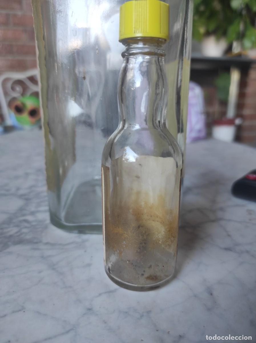Coleccionismo de vinos y licores: Mini botella orte co&ntilde;ac - Foto 4
