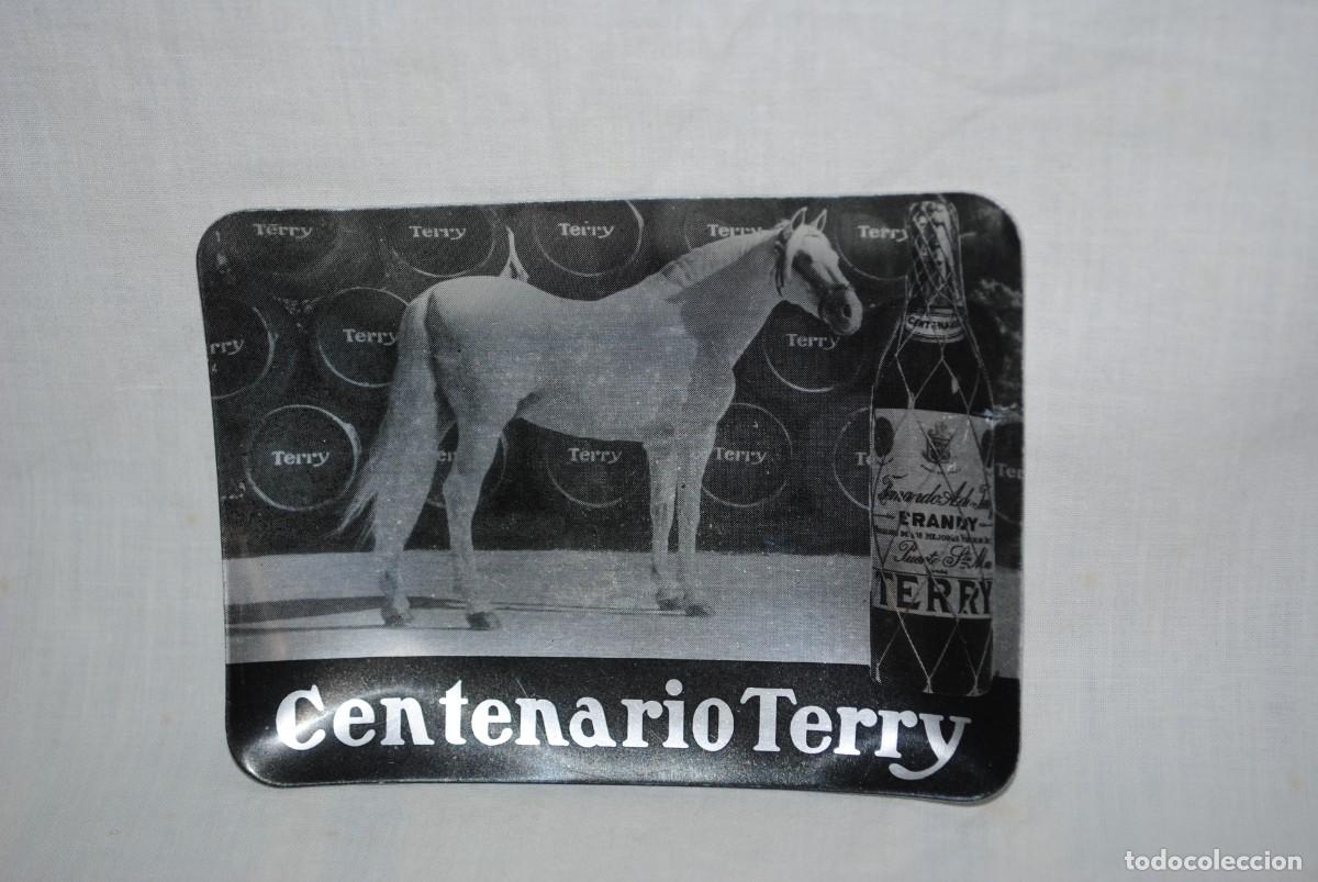 Coleccionismo de vinos y licores: CENTENARIO TERRY BRANDY