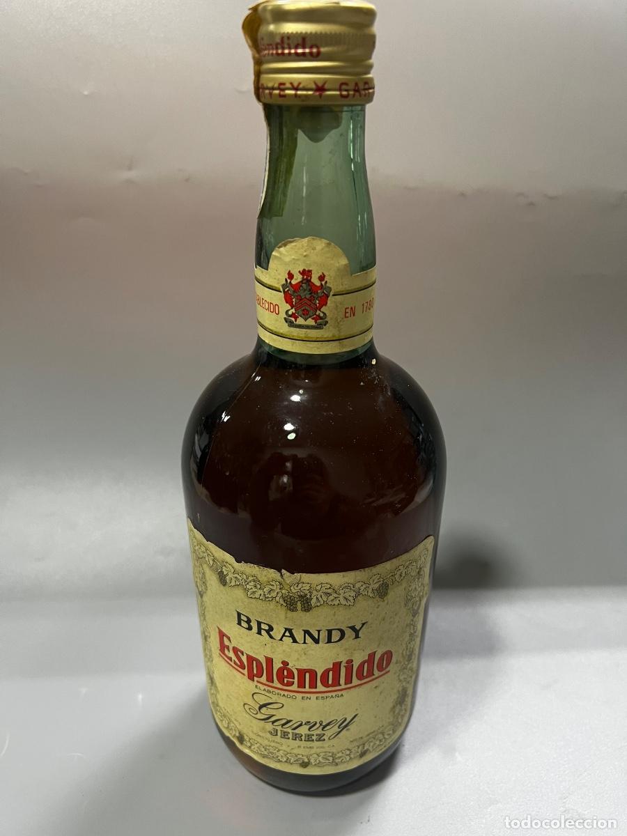 Coleccionismo de vinos y licores: BOTELLA DE BRANDY ESPL&Eacute;NDIDO. BODEGAS GARVEY. JEREZ. 1981. ELABORADO EN ESPA&Ntilde;A. 1 LITRO.
