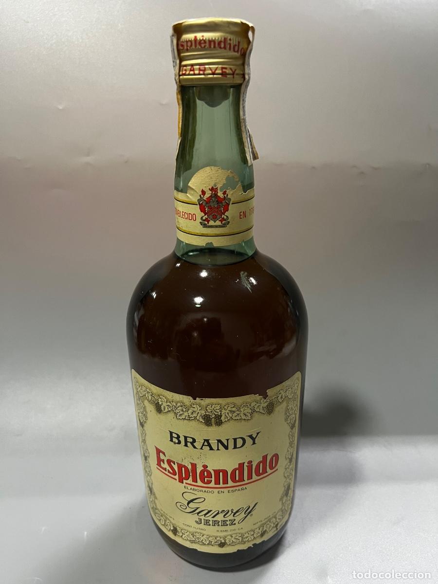 Coleccionismo de vinos y licores: BOTELLA DE BRANDY ESPL&Eacute;NDIDO. BODEGAS GARVEY. JEREZ. 1981. ELABORADO EN ESPA&Ntilde;A. 1 LITRO.