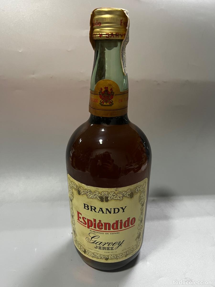 Coleccionismo de vinos y licores: BOTELLA DE BRANDY ESPL&Eacute;NDIDO. BODEGAS GARVEY. JEREZ. 1981. ELABORADO EN ESPA&Ntilde;A. 1 LITRO.