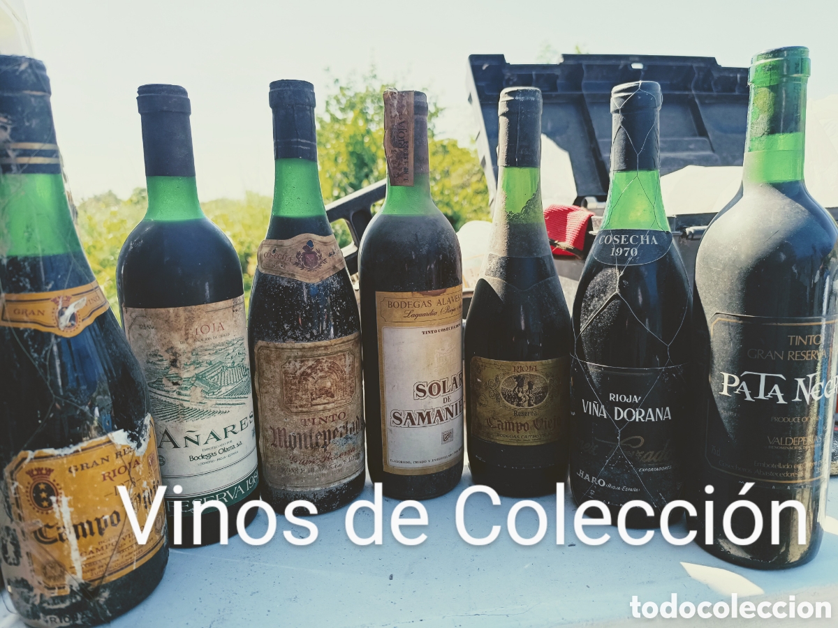 Sammlung von Weinen und Lik&ouml;ren: Varias botellas de vino