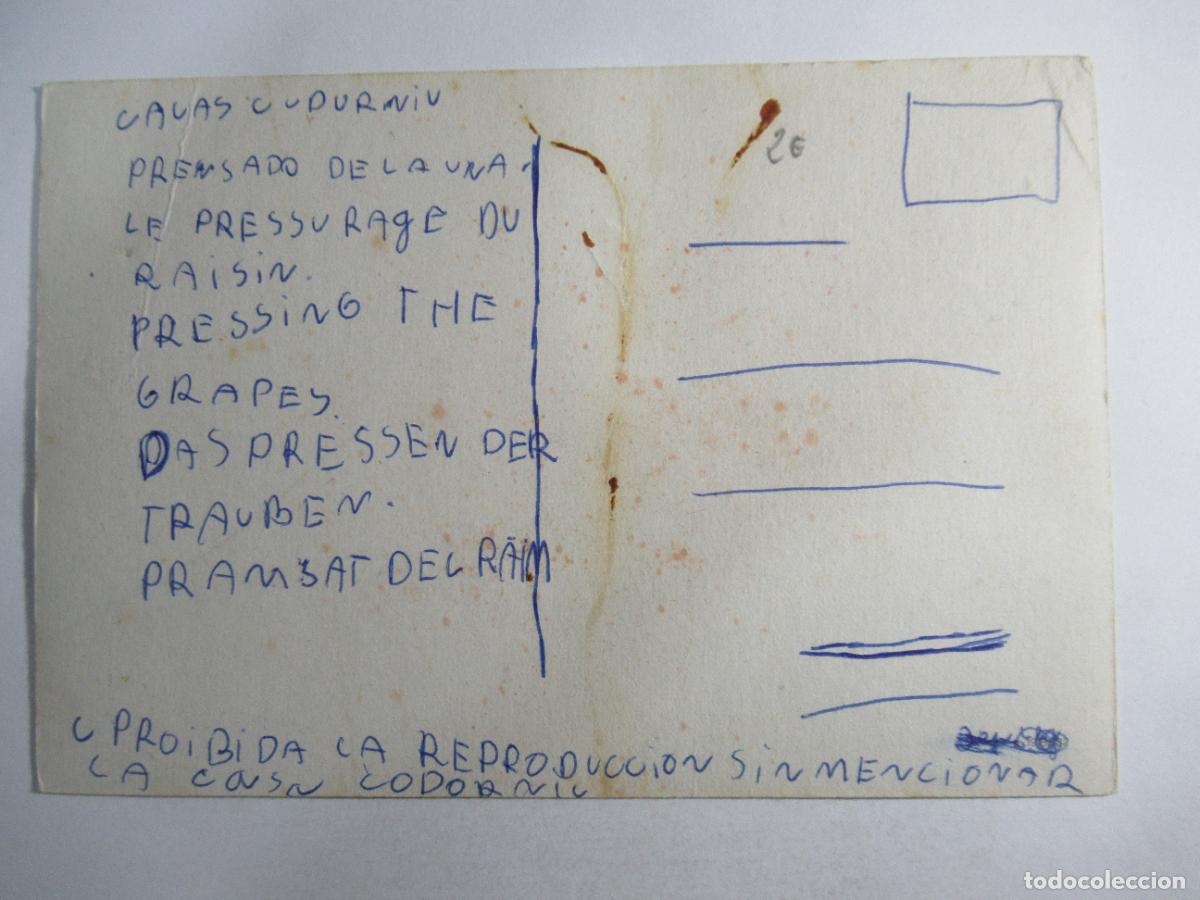 Coleccionismo de vinos y licores: Postal Cavas Codorniu - Escrita - Foto 2