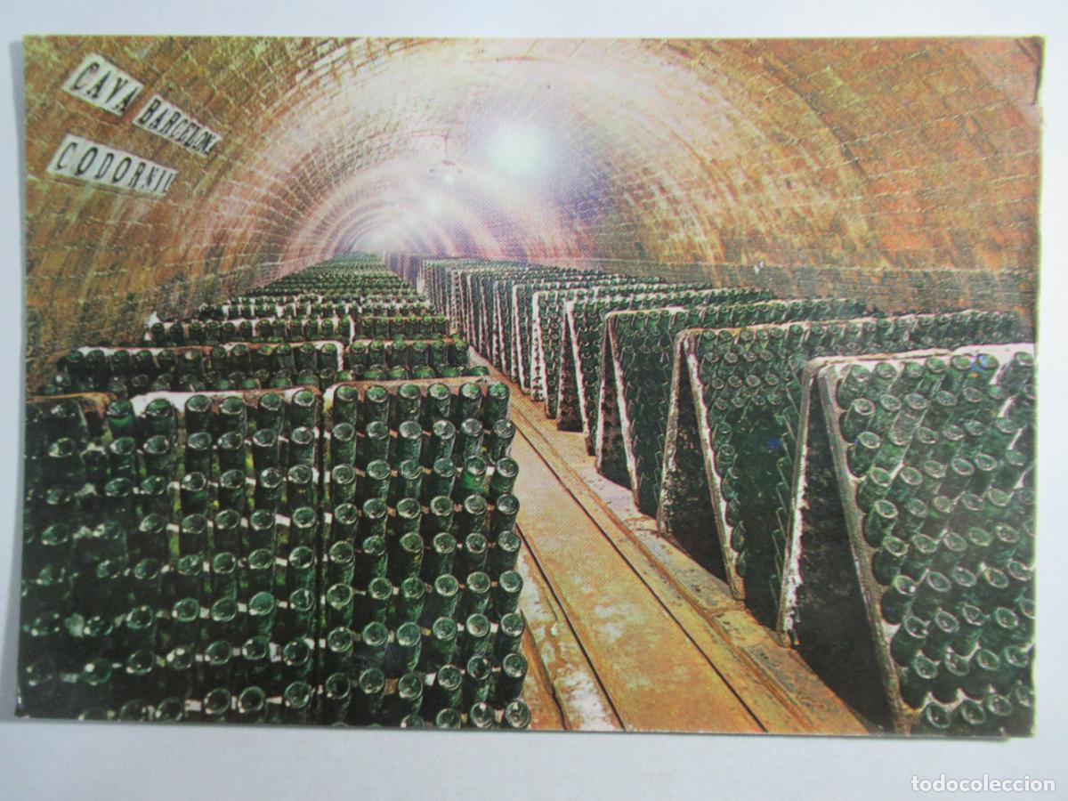 Coleccionismo de vinos y licores: Postal Cavas Codorniu - Circulada - Foto 1