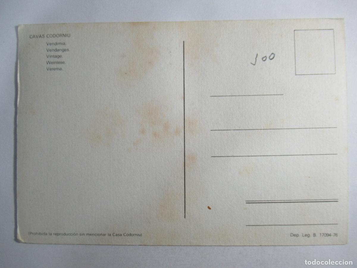 Coleccionismo de vinos y licores: Postal Cavas Codorniu - S/C - Foto 2