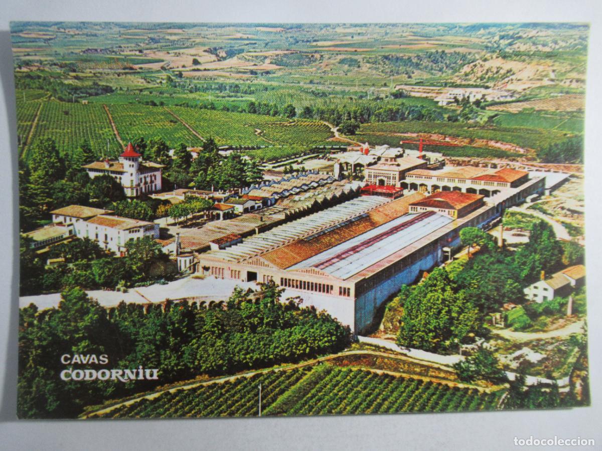 Coleccionismo de vinos y licores: Postal Cavas Codorniu - Escrita - Foto 1
