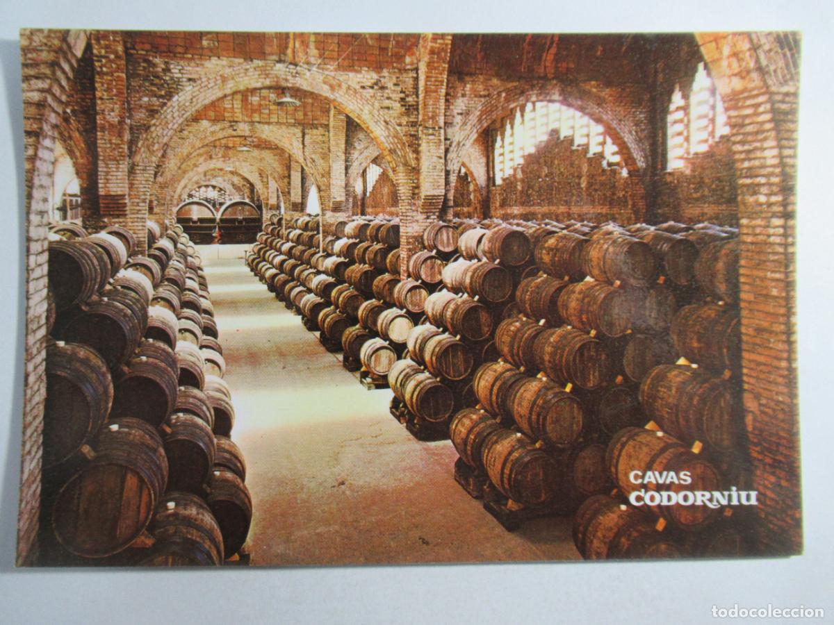 Coleccionismo de vinos y licores: Postal Cavas Codorniu - S/C - Foto 1