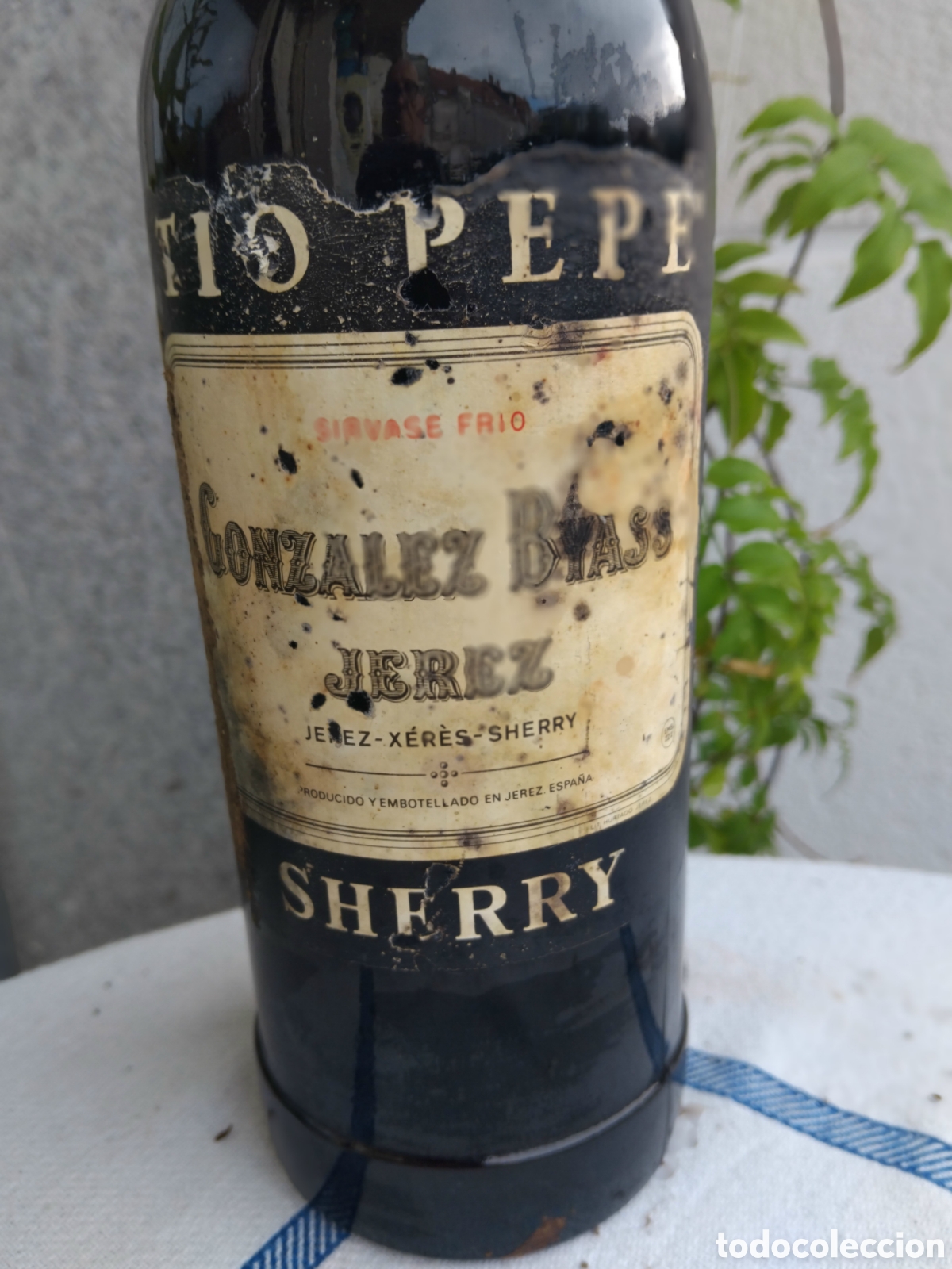 Colecionismo de vinhos e licores: Botella vino jerez sherry TIO PEPE de Gonzalez Byass