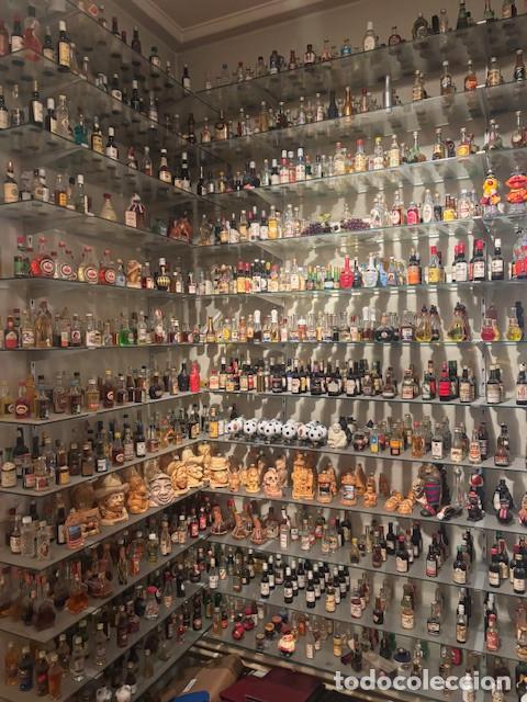 Coleccionismo de vinos y licores: GRAN LOTE DE M&Aacute;S DE 1000 botellines de licor, posibilidad de revisar en nuestro almac&eacute;n.
