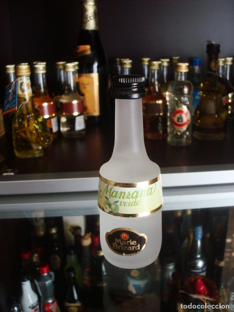 Coleccionismo de vinos y licores: Manzana Verde (Marie Brizard) (Botell&iacute;n) Por abrir