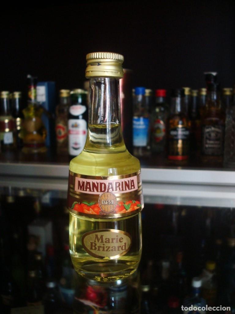 Coleccionismo de vinos y licores: Mandarina (Marie Brizard) (Botell&iacute;n) Por abrir