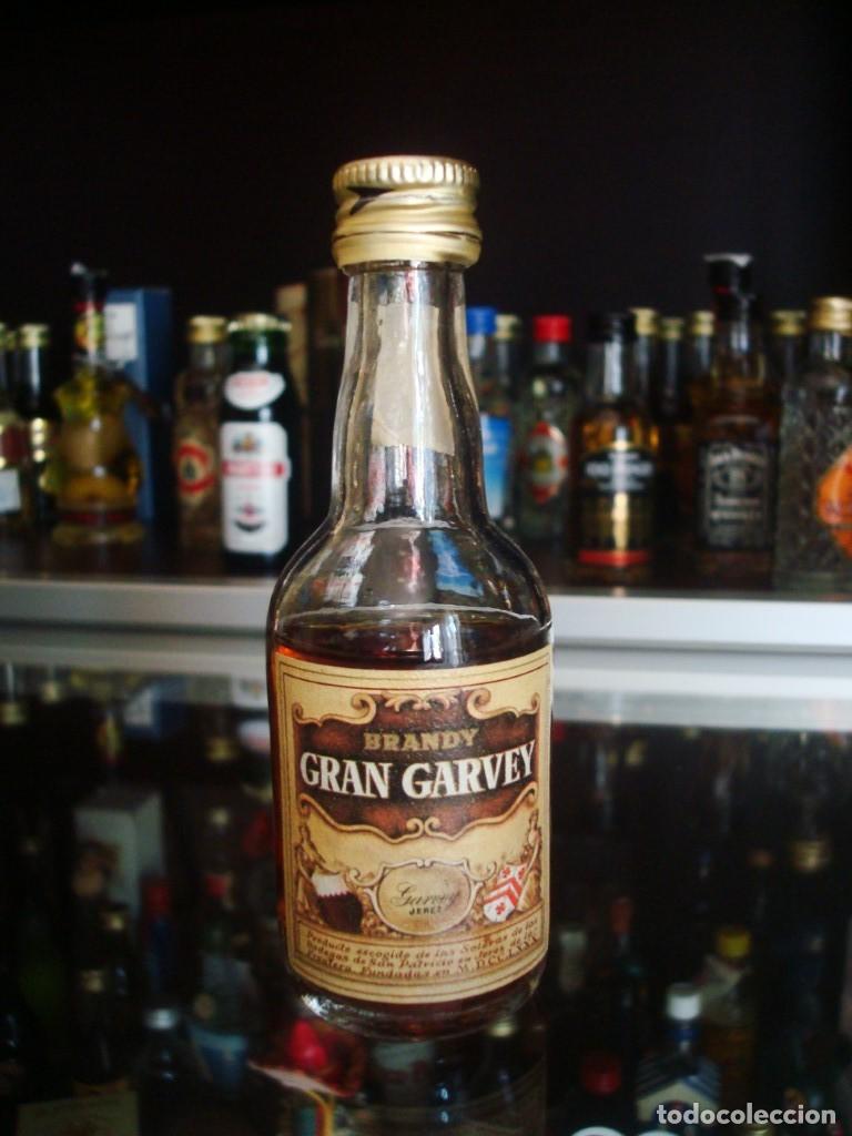 Collectionnisme de vins et liqueurs: Gran Garvey Brandy (Botell&iacute;n) Por abrir