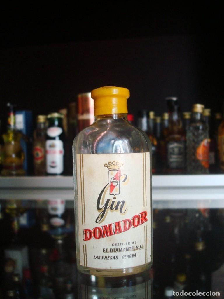 Coleccionismo de vinos y licores: Gin Domador Destiler&iacute;as El Diamante Las Presas (Botell&iacute;n) Por abrir