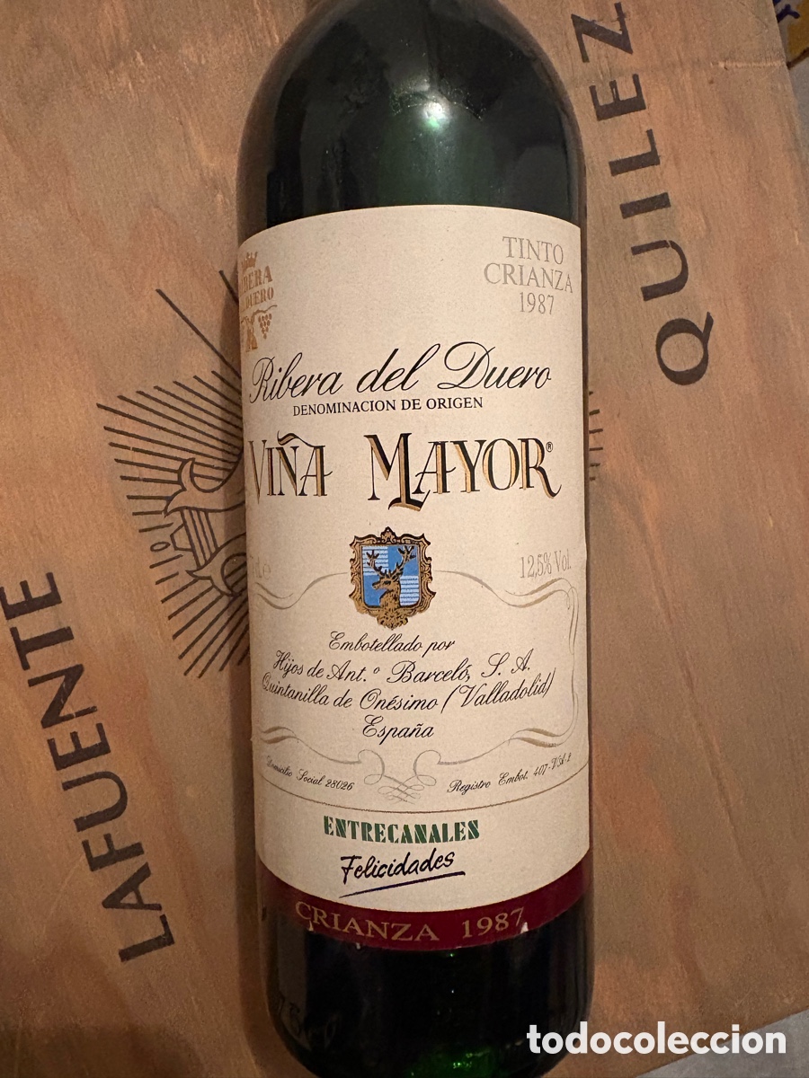 Vi&ntilde;a Mayor Crianza 1987