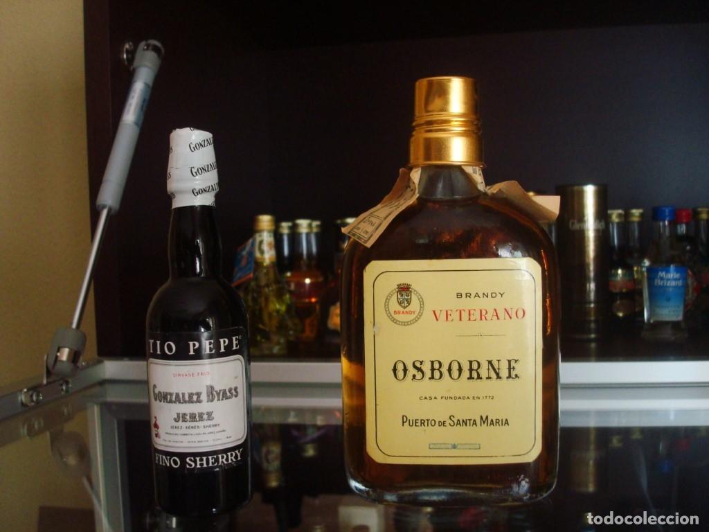 Coleccionismo de vinos y licores: Brandy Veterano Osborne (botell&iacute;n 8 x 15 formato petaca precinto 2 ptas) Por abrir