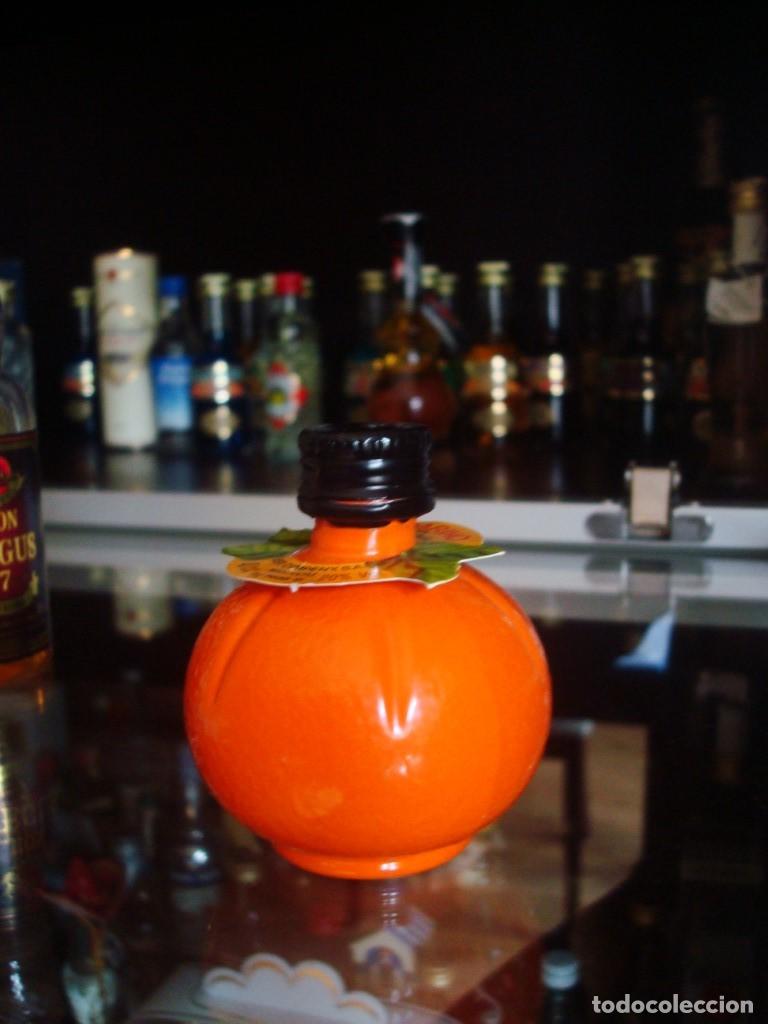 Coleccionismo de vinos y licores: Mandarino Desirler&iacute;as Campeny (botell&iacute;n) Por abrir