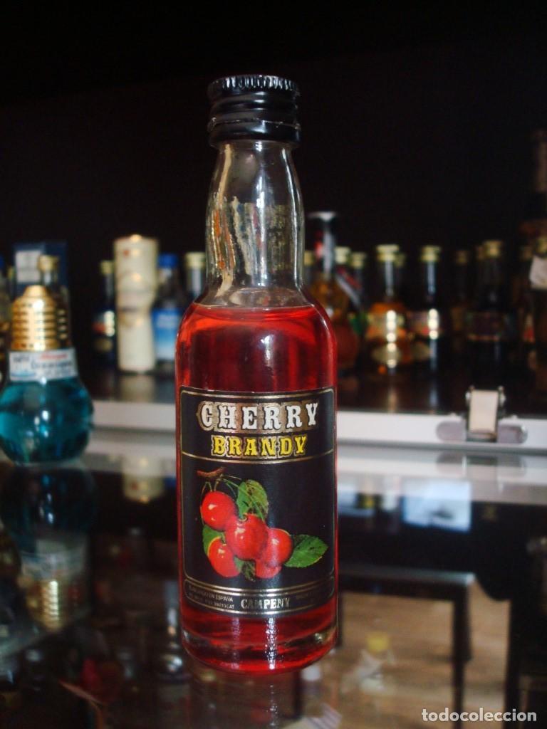 Coleccionismo de vinos y licores: Cherry Brandy Campeny (botell&iacute;n) Por abrir