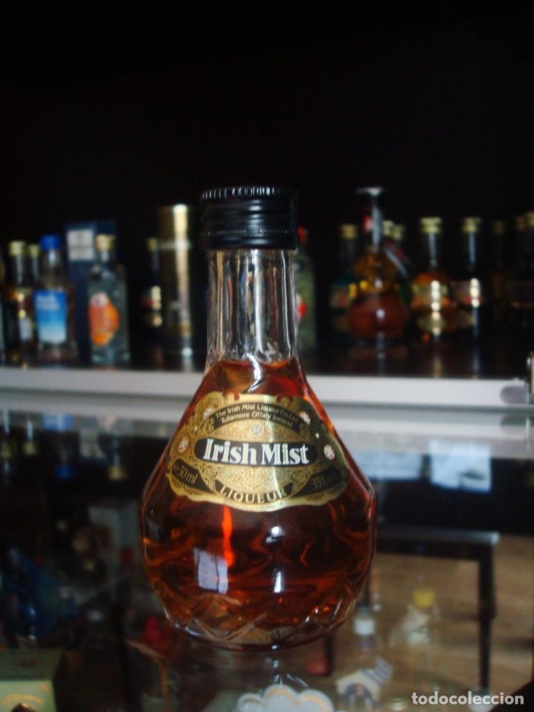 Coleccionismo de vinos y licores: Irish Mist Liqueur (botell&iacute;n) Por abrir