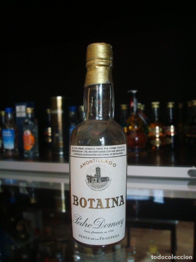 Coleccionismo de vinos y licores: Botaina Amontillado Pedro Domecq (botell&iacute;n) Por abrir