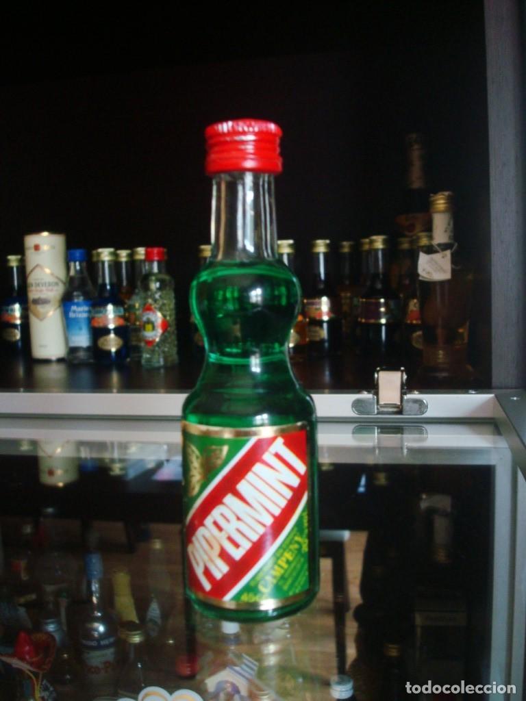 Coleccionismo de vinos y licores: Pippermint Campeny (botell&iacute;n) Por abrir