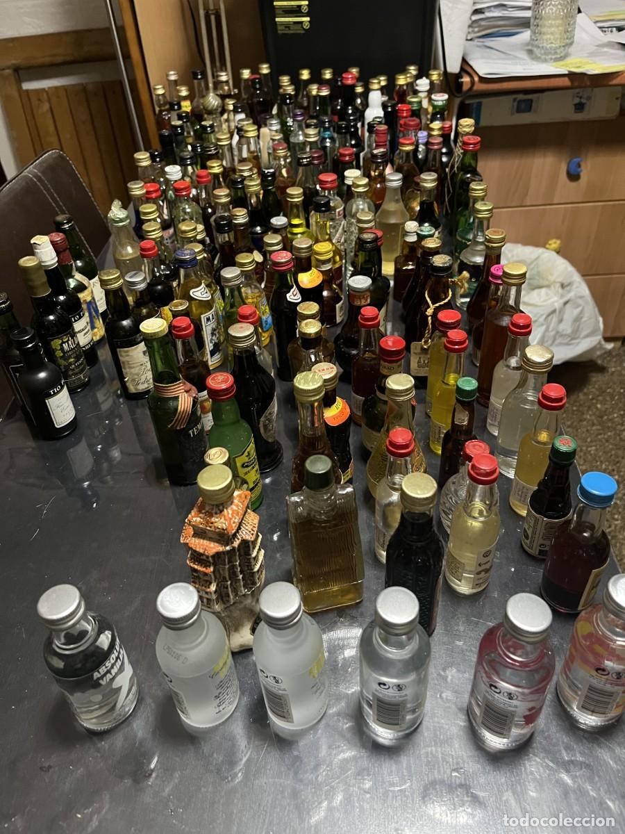 Coleccionismo de vinos y licores: Colecci&oacute;n de botellines de licor