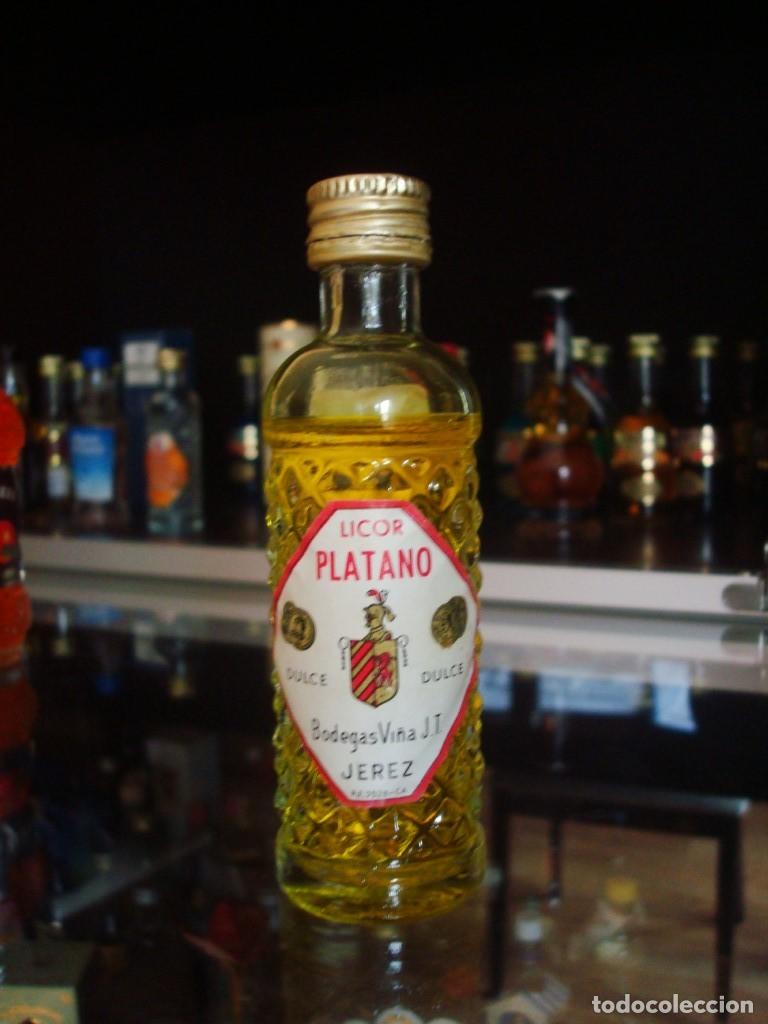 Coleccionismo de vinos y licores: Licor Pl&aacute;tano Dulce Bodegas Vi&ntilde;a Jerez (botell&iacute;n) Por abrir