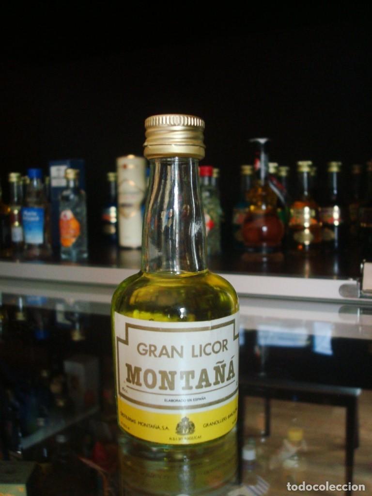 Coleccionismo de vinos y licores: Gran Licor Monta&ntilde;&aacute; (botell&iacute;n) Por abrir