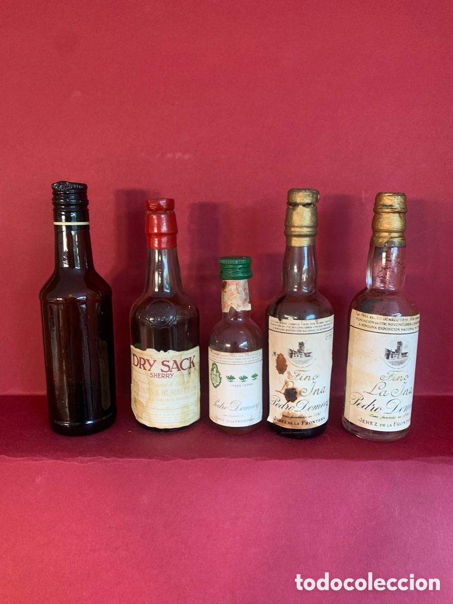 Coleccionismo de vinos y licores: PEDRO DOMEQ BOTELLINES BOTELLA VINTAGE 5 unidades
