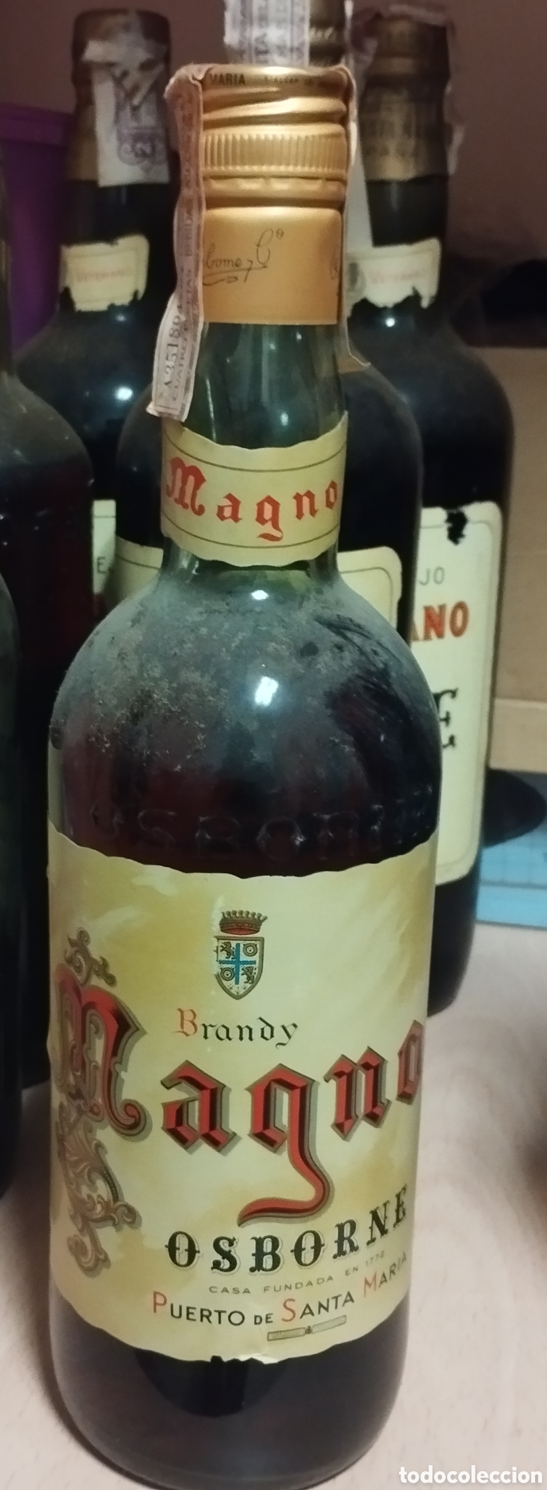 Coleccionismo de vinos y licores: Botella magno sin abrir
