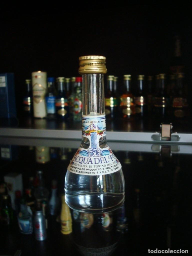 Coleccionismo de vinos y licores: Acqua del Po (botell&iacute;n) por abrir