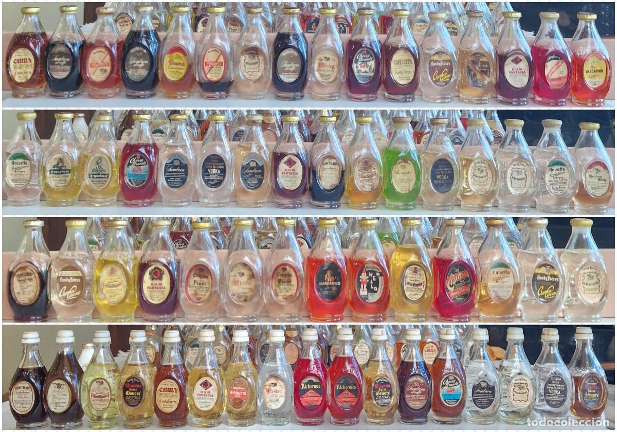 Coleccionismo de vinos y licores: IMPORTANTE COLECCI&Oacute;N VINTAGE LANDY FR&Egrave;RES BOLONIA &ndash; 106 BOTELLITAS MIGNON ORIGINALES