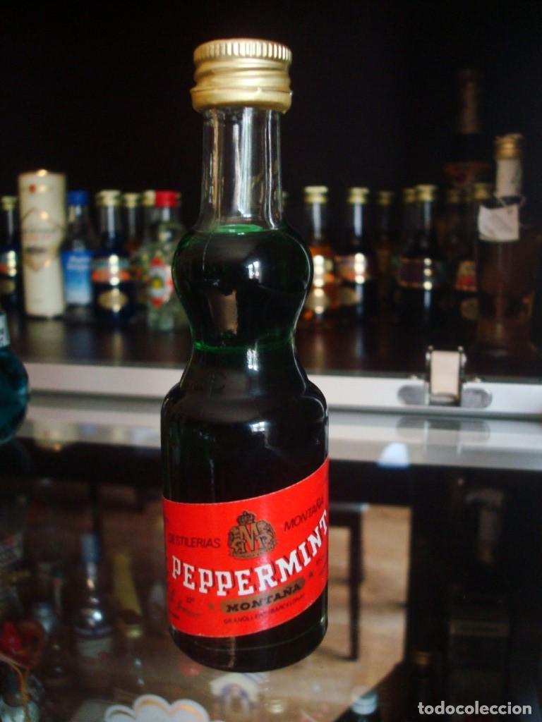 Coleccionismo de vinos y licores: Peppermint Destiler&iacute;as Monta&ntilde;&aacute; (botell&iacute;n) Por abrir