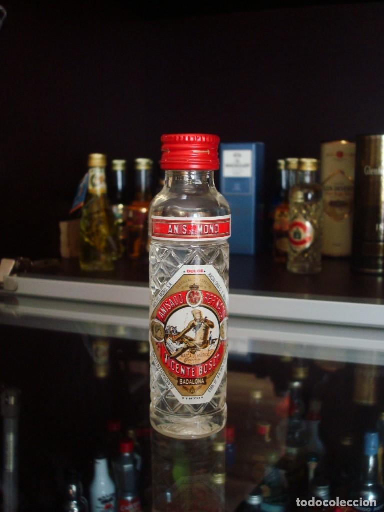 Coleccionismo de vinos y licores: An&iacute;s del mono Dulce (botell&iacute;n) Por abrir