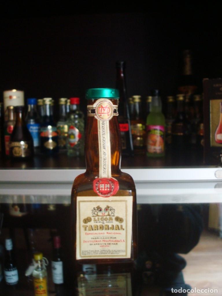 Coleccionismo de vinos y licores: Licor Taronjal Mollfulleda (botell&iacute;n) Por abrir