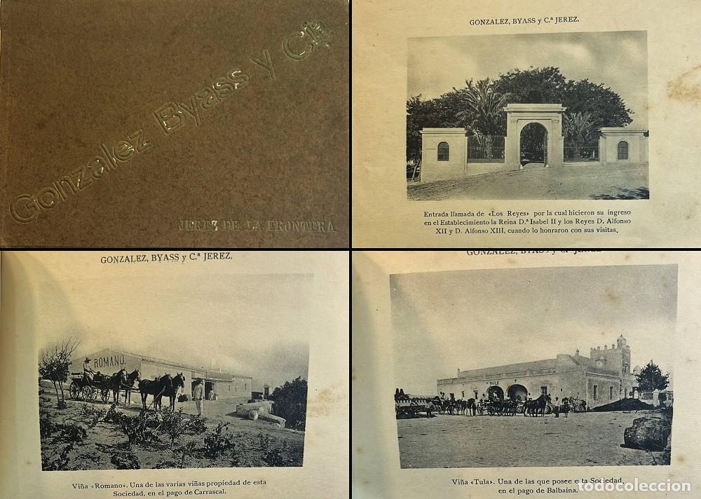 Coleccionismo de vinos y licores: GONZALEZ Biass y C&iacute;a. Jerez de la Frontera. (Hacia 1905)