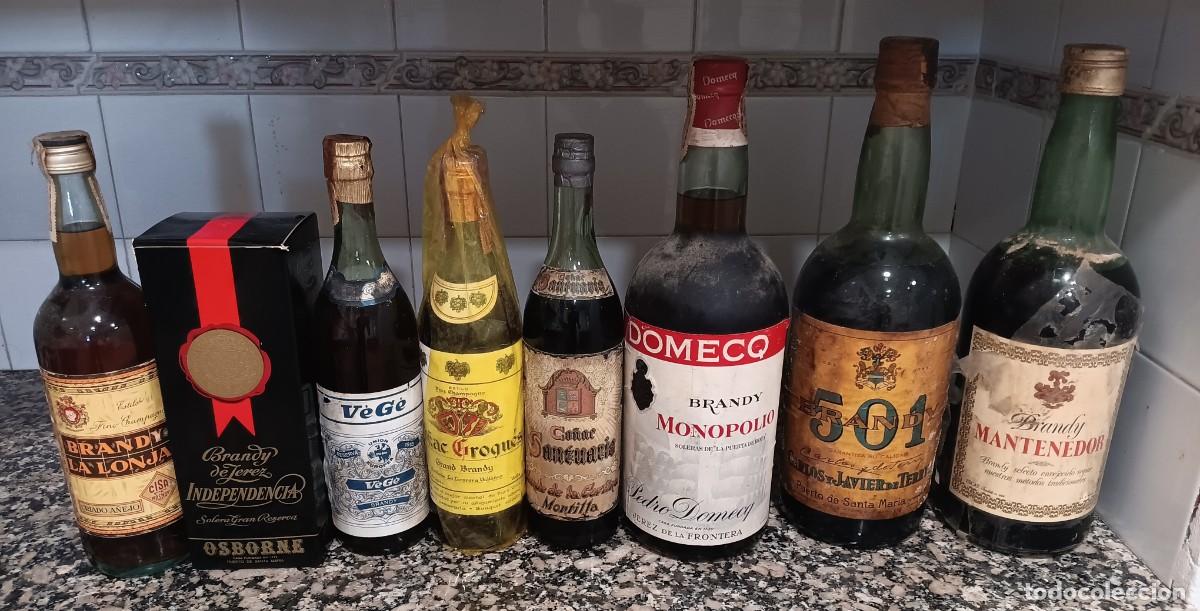 Coleccionismo de vinos y licores: Botellas brandy cognac co&ntilde;ac botellones