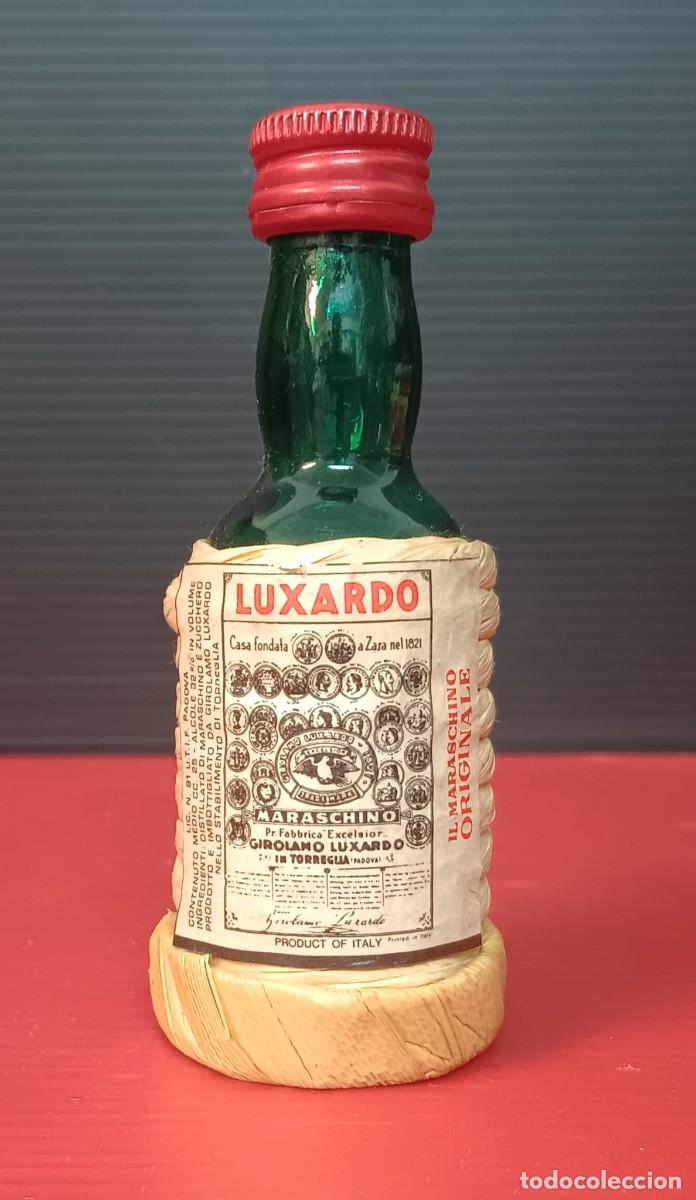 Collection of wines and liquors: ANTIGUA MINI BOTELLA LICOR LUXARDO MARASCHINO