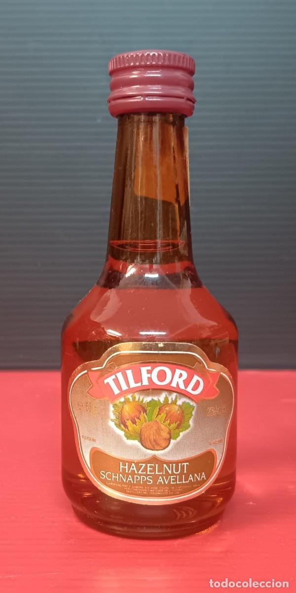 Collection of wines and liquors: ANTIGUA MINI BOTELLA LICOR TILFORD AVELLANA