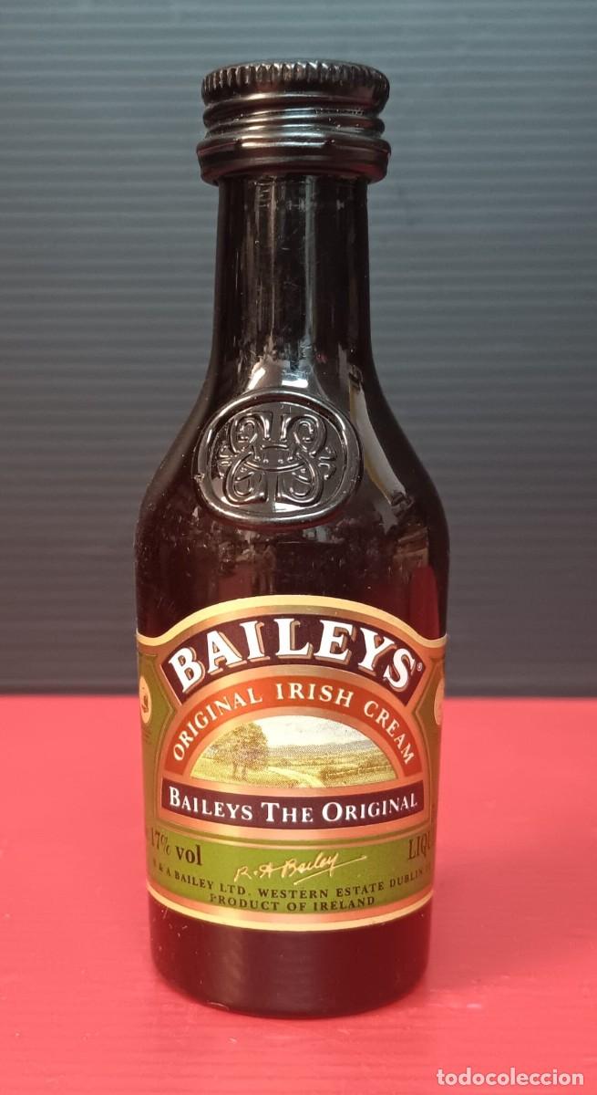 Collection of wines and liquors: ANTIGUA MINI BOTELLA DE PLASTICO LICOR BAILEYS