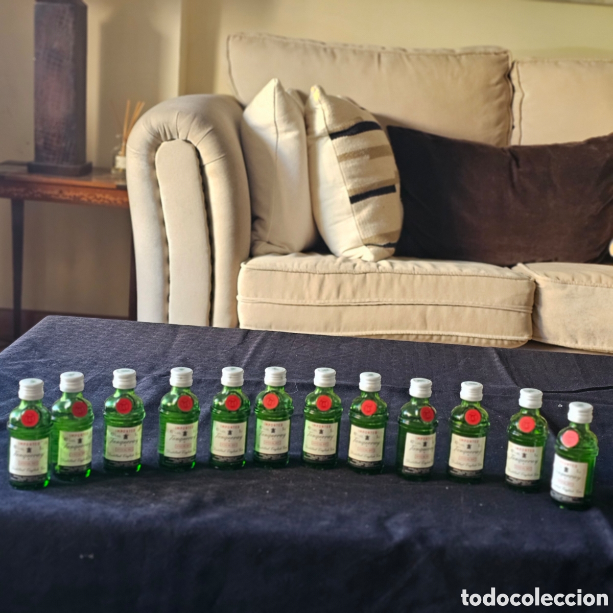 Coleccionismo de vinos y licores: ​Lote Vintage Tanqueray Gin - Caja Expositora Original + 12 Miniaturas (5cl) Llenas + Precintos