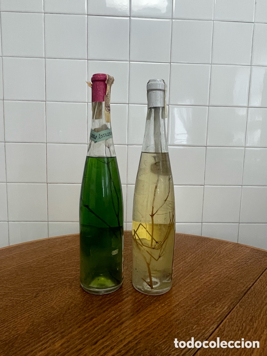 Coleccionismo de vinos y licores: Botellas de licor escarchado