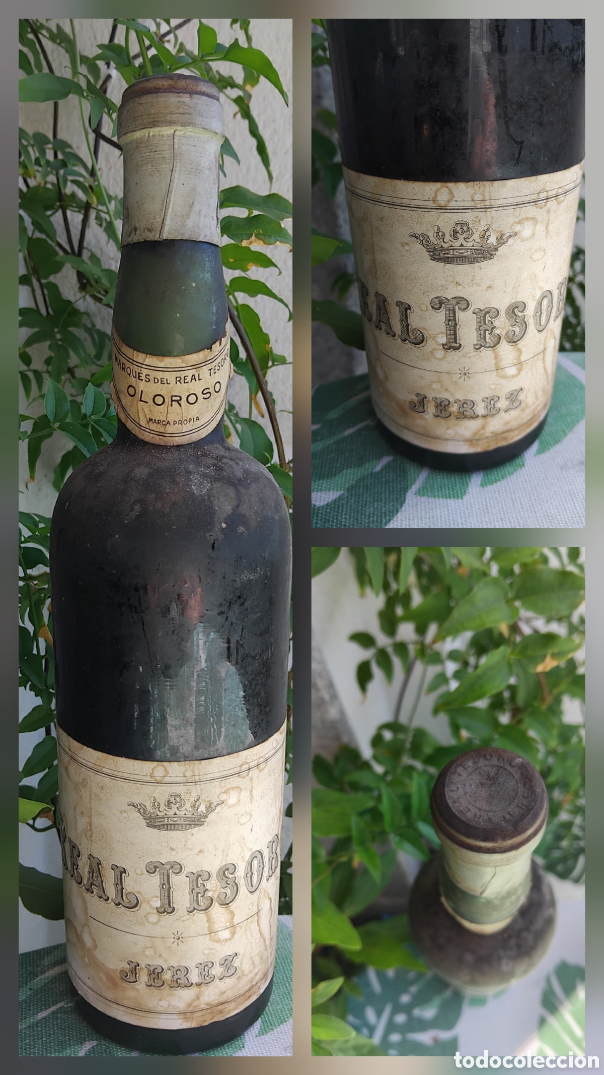 Coleccionismo de vinos y licores: Botella vino oloroso Marqu&eacute;s Real Tesoro-Jerez