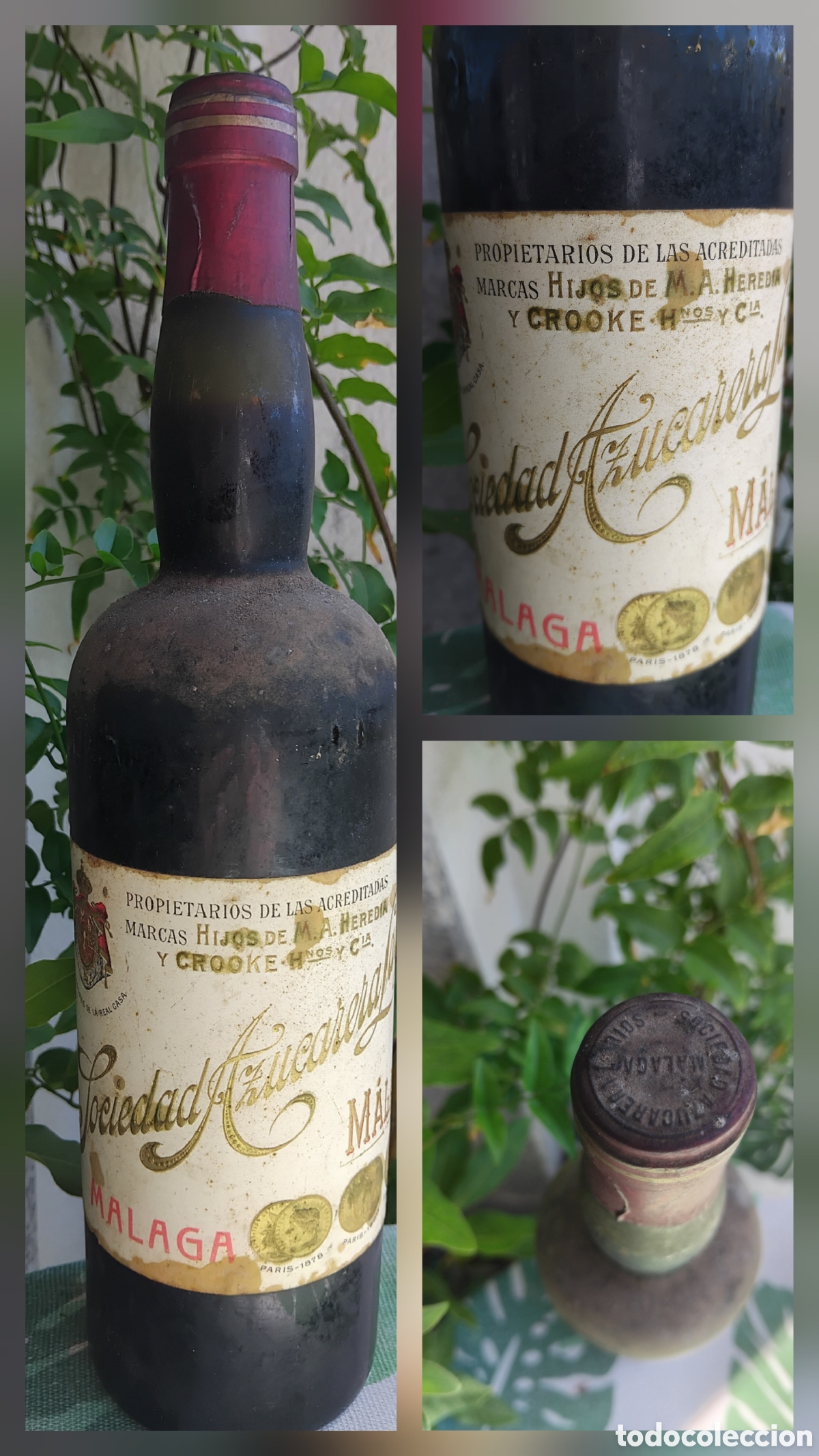 Coleccionismo de vinos y licores: Botella vino Sociedad Azucarera Larios-M&aacute;laga