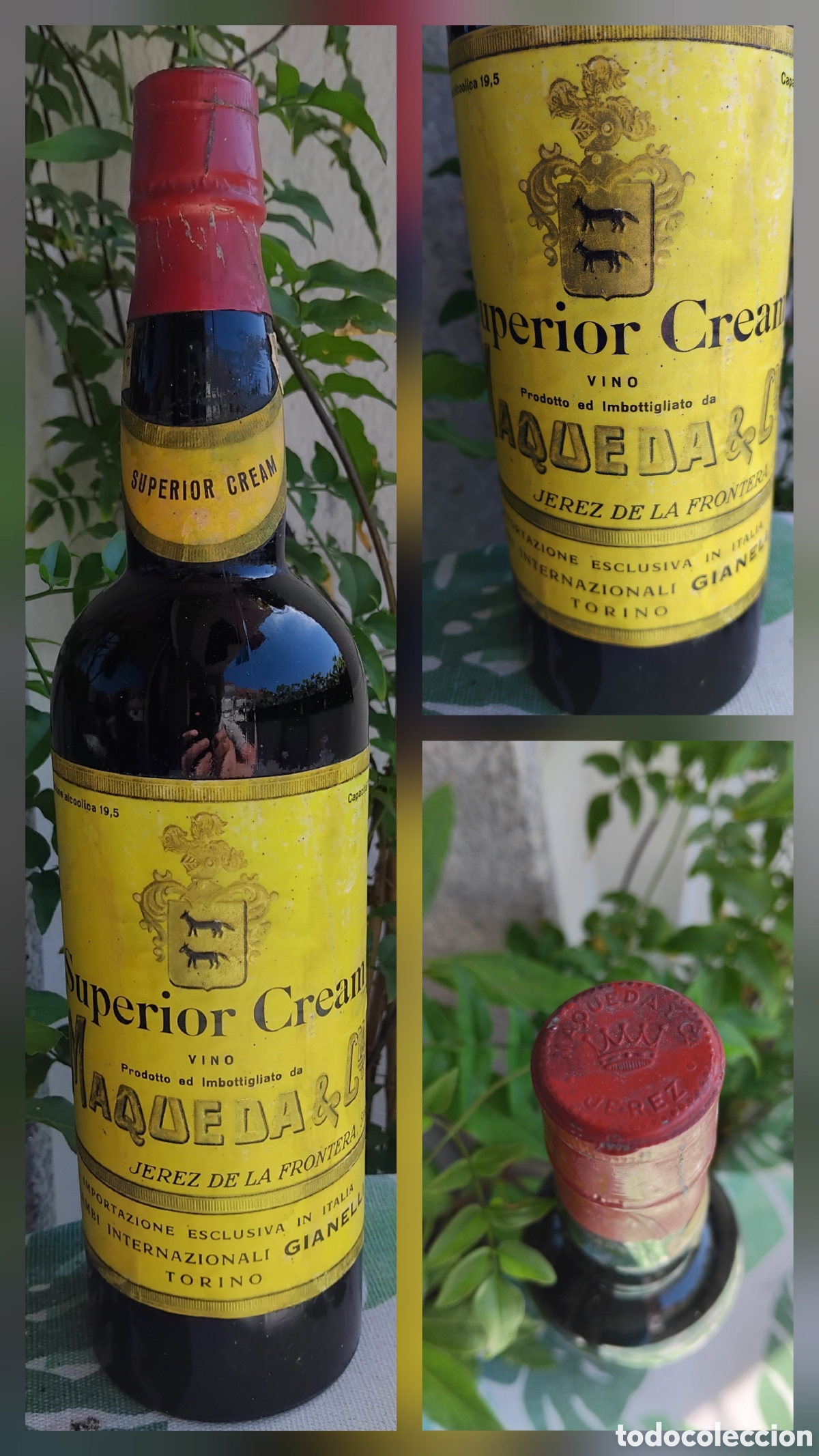 Coleccionismo de vinos y licores: Botella vino superior cream de Maqueda y Cia.-Jerez