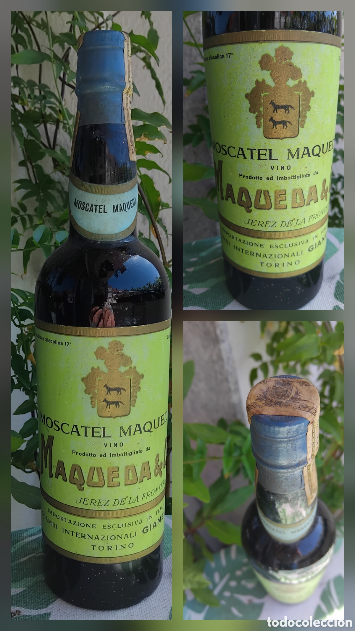 Coleccionismo de vinos y licores: Botella vino moscatel de Bodegas Maqueda y Cia.-Jerez