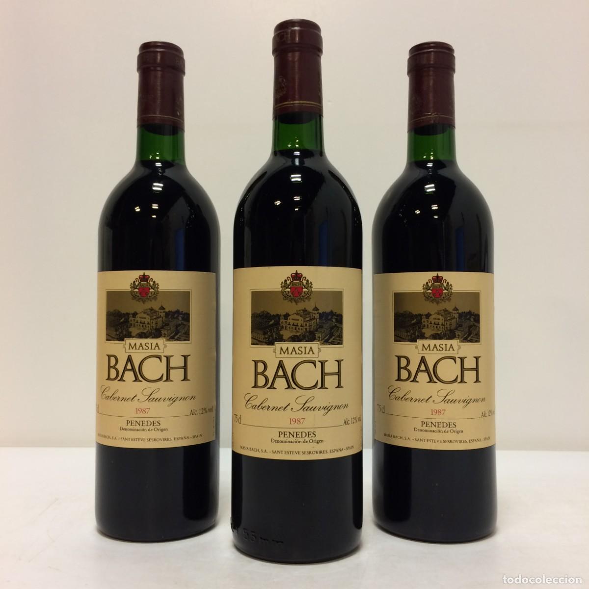 Coleccionismo de vinos y licores: Vino: 1987 Bach Cabernet Sauvignon, Masia Bach (Pened&egrave;s)