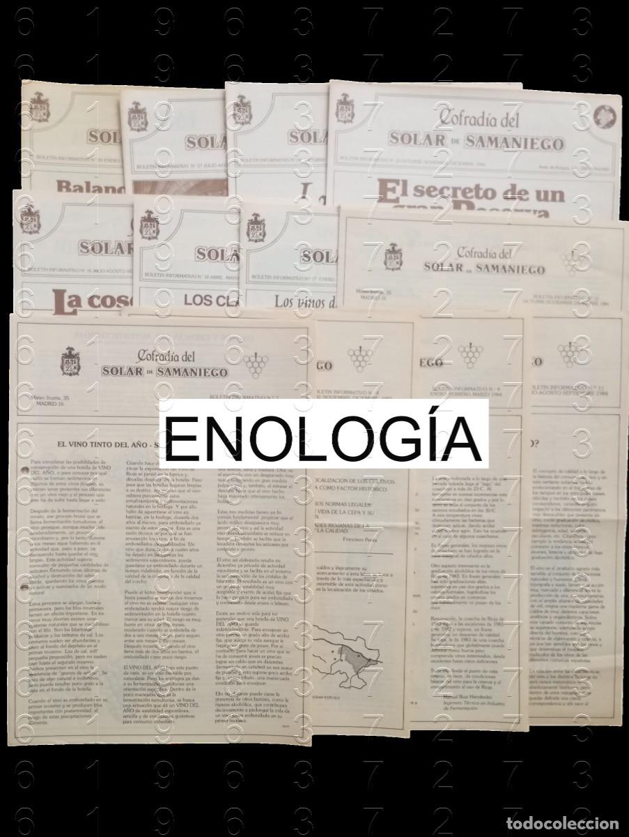 Coleccionismo de vinos y licores: ENOLOGIA COLECCION 12 BOLETINES COFRADIA DEL SOLAR DE SAMANIEGO 1983 U87